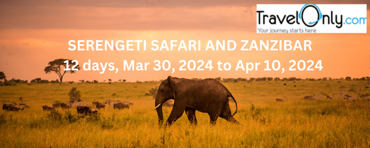 Serengeti Safari & Zanzibar